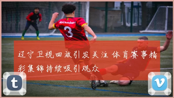 辽宁卫视回放引发关注 体育赛事精彩集锦持续吸引观众