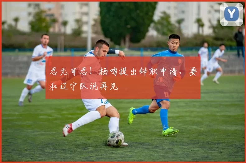 忍无可忍！杨鸣提出辞职申请，要和辽宁队说再见