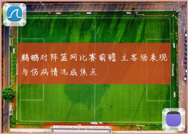 鹈鹕对阵篮网比赛前瞻 主客场表现与伤病情况成焦点