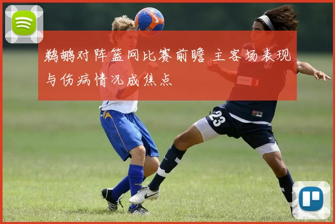 鹈鹕对阵篮网比赛前瞻 主客场表现与伤病情况成焦点