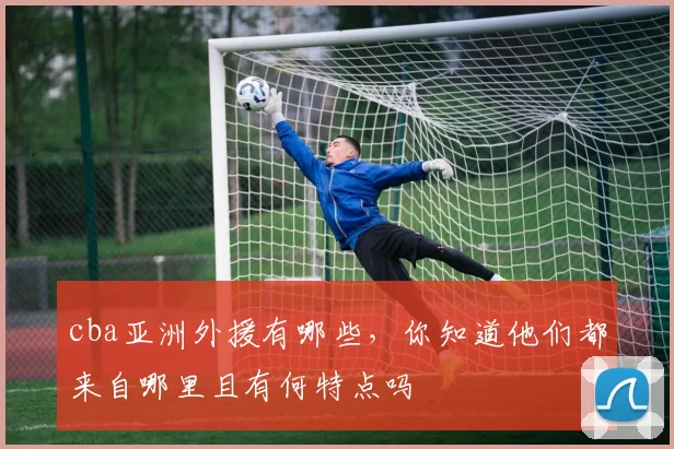 cba亚洲外援有哪些，你知道他们都来自哪里且有何特点吗