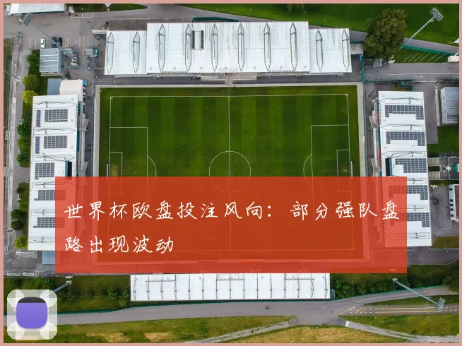 世界杯欧盘投注风向:部分强队盘路出现波动