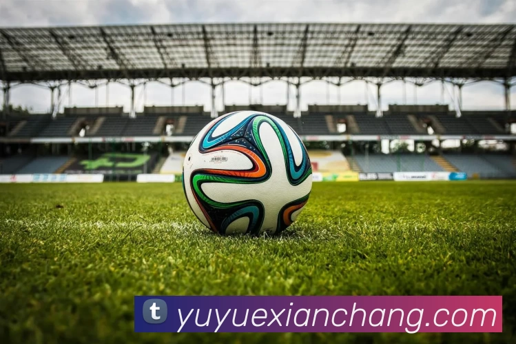 多媒体互动体验